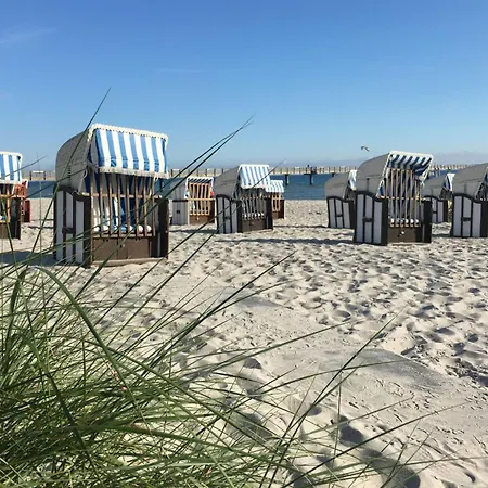 Papillon Whg 12 4 Lägenhet Boltenhagen (Ostseebad)